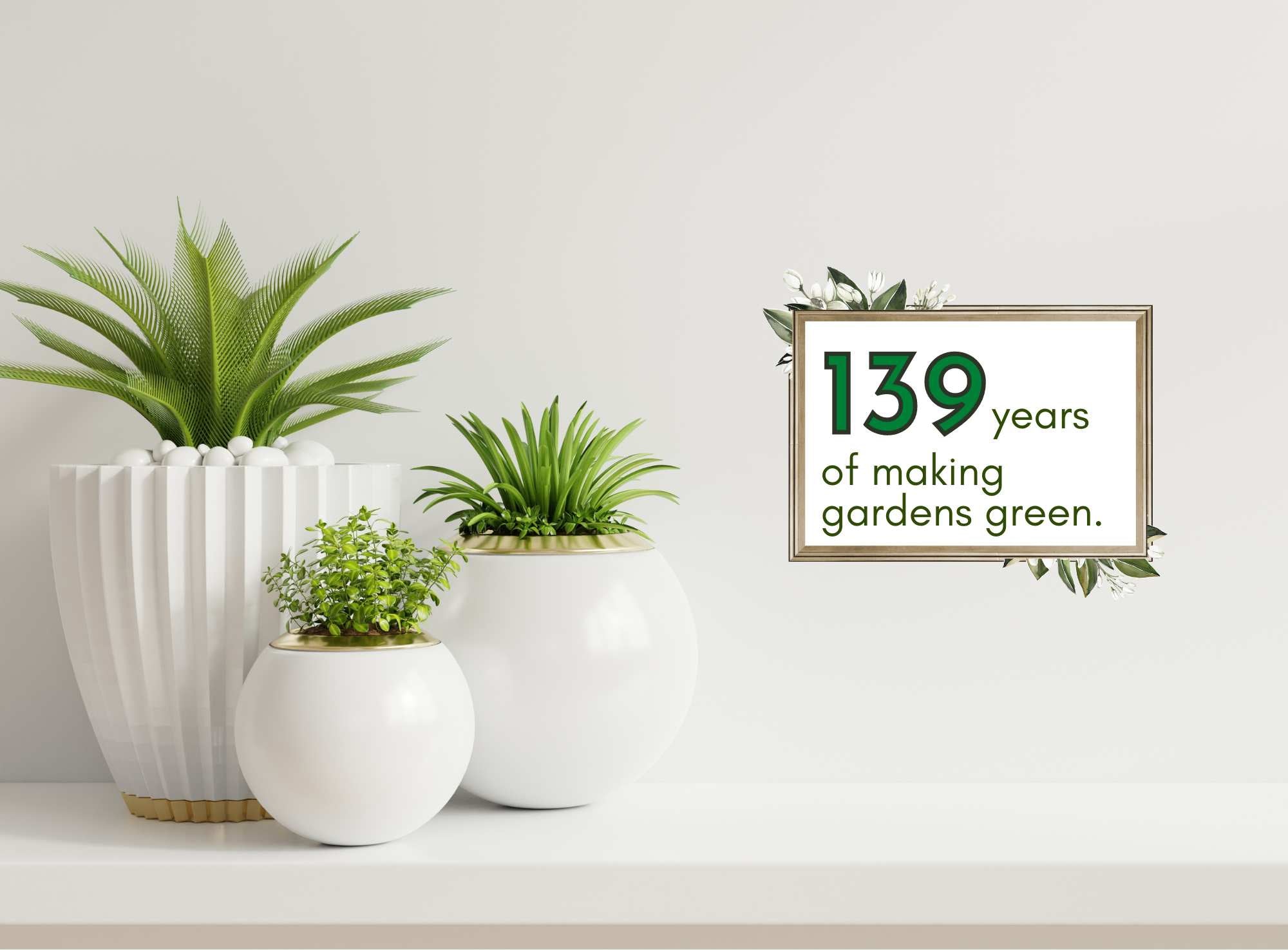 139 years of making gardens greens, Bombay seeds