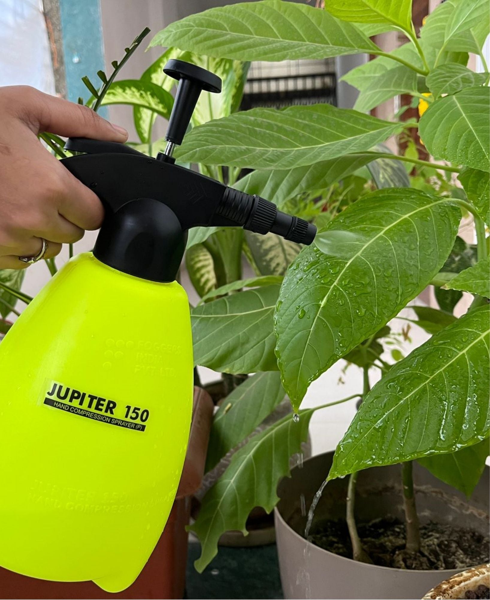 Jupiter 150 Hand Compression Sprayer