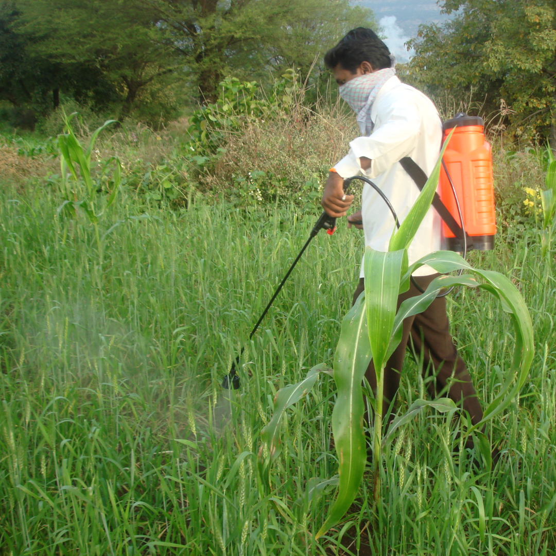 Man in farm, with knapsack sprayer on the back