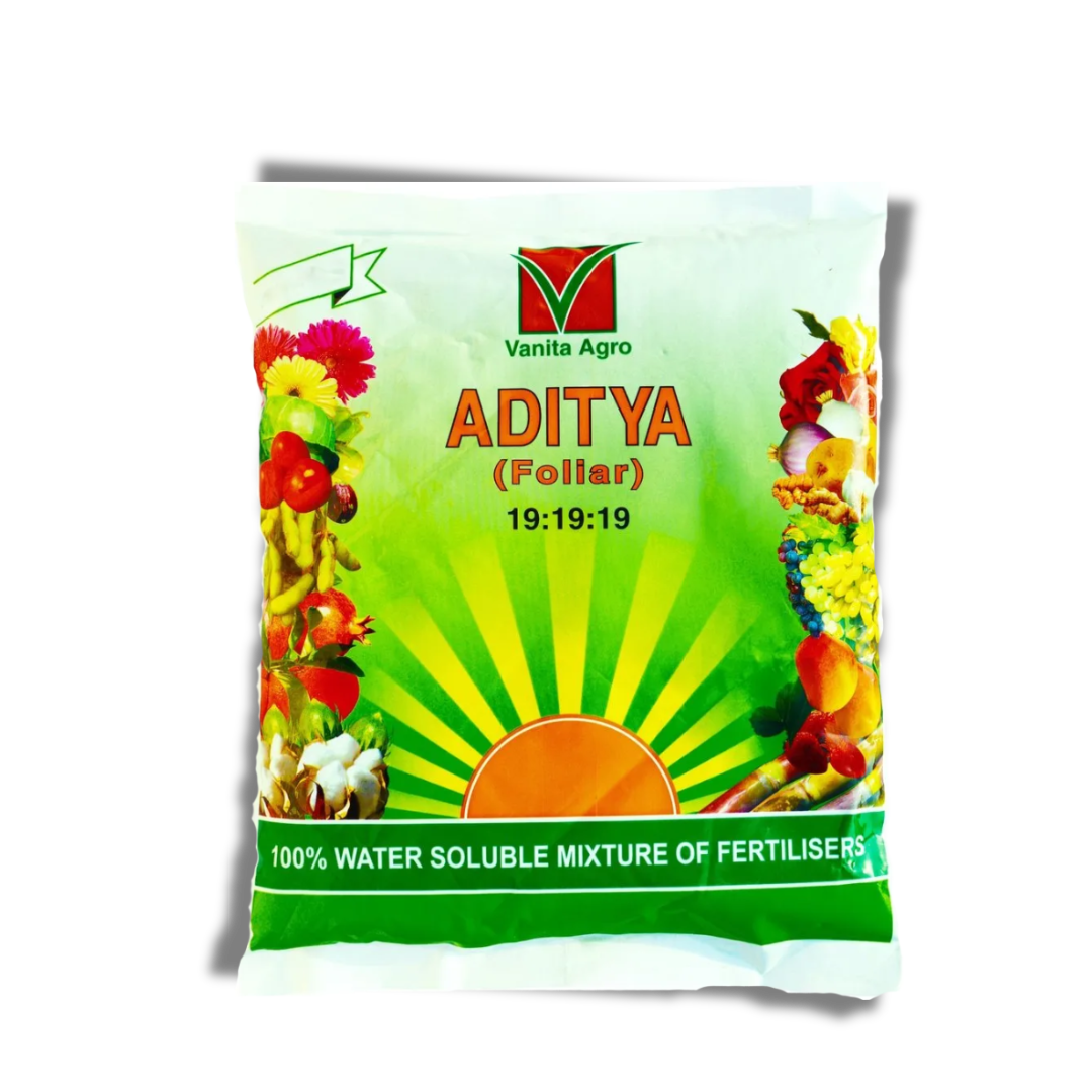 Aditya 19:19:19 (1 Kg)