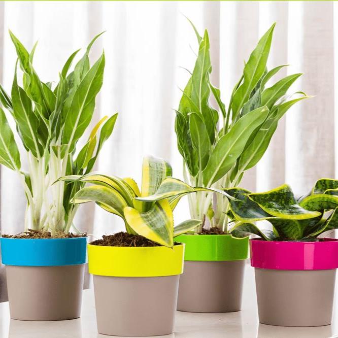 Arty Round Planter