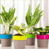 Arty Round Planter