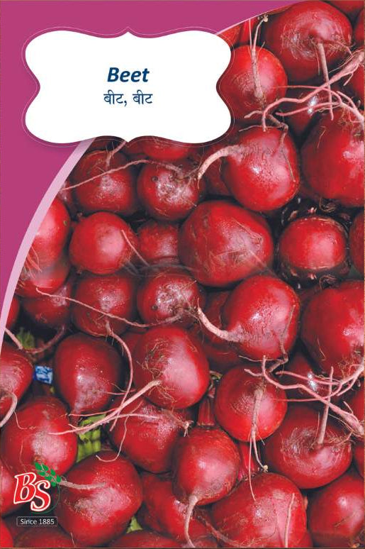 Beetroot Seeds - Bombay Seeds