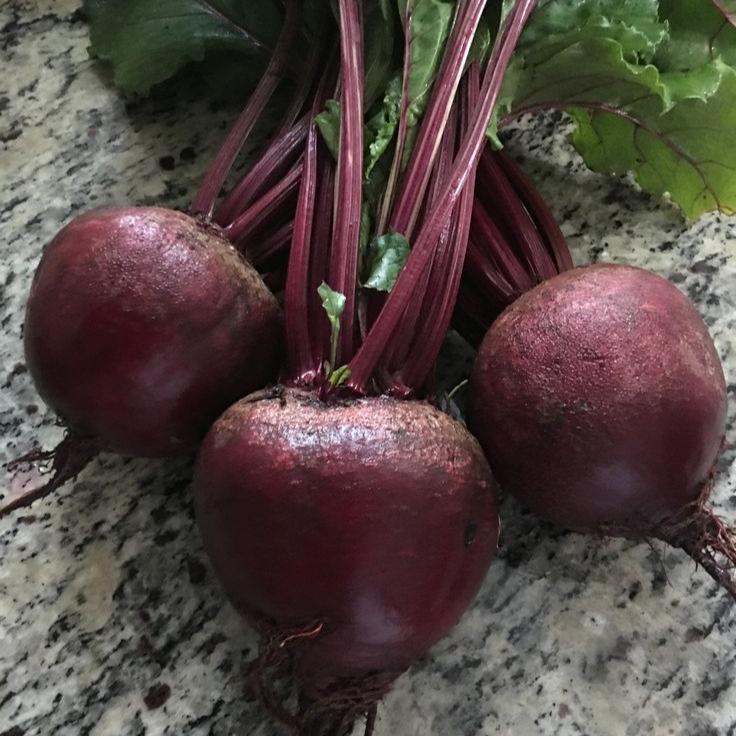 Beetroot Seeds - Bombay Seeds.