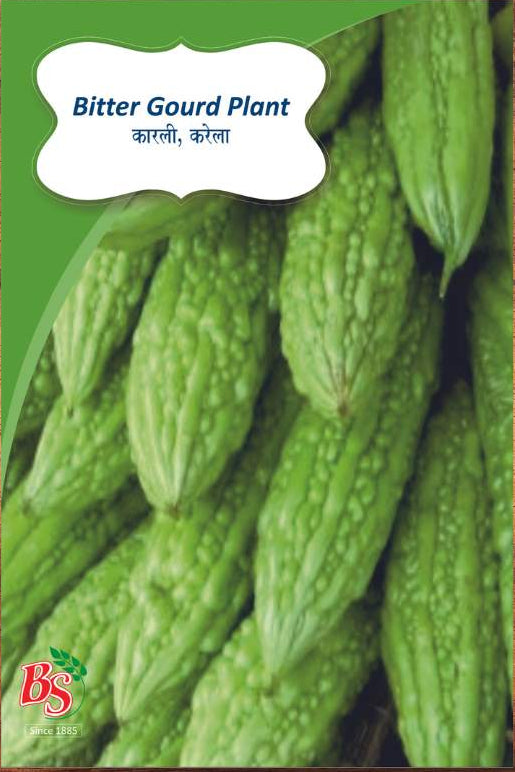 Bitter Gourd Seeds -Bombay Seeds