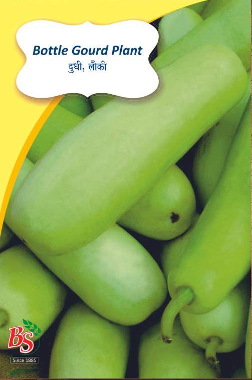 Bottle Gourd Seeds - Bombay Seeds