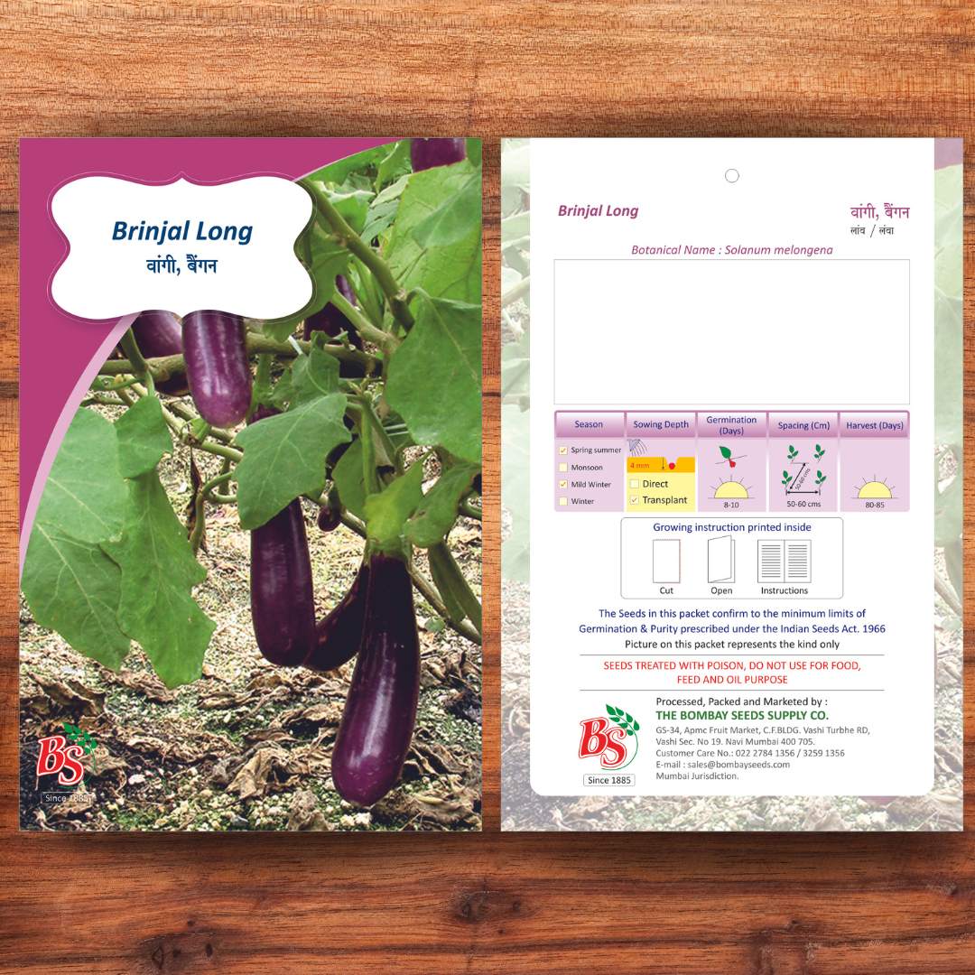 Brinjal Long Seeds