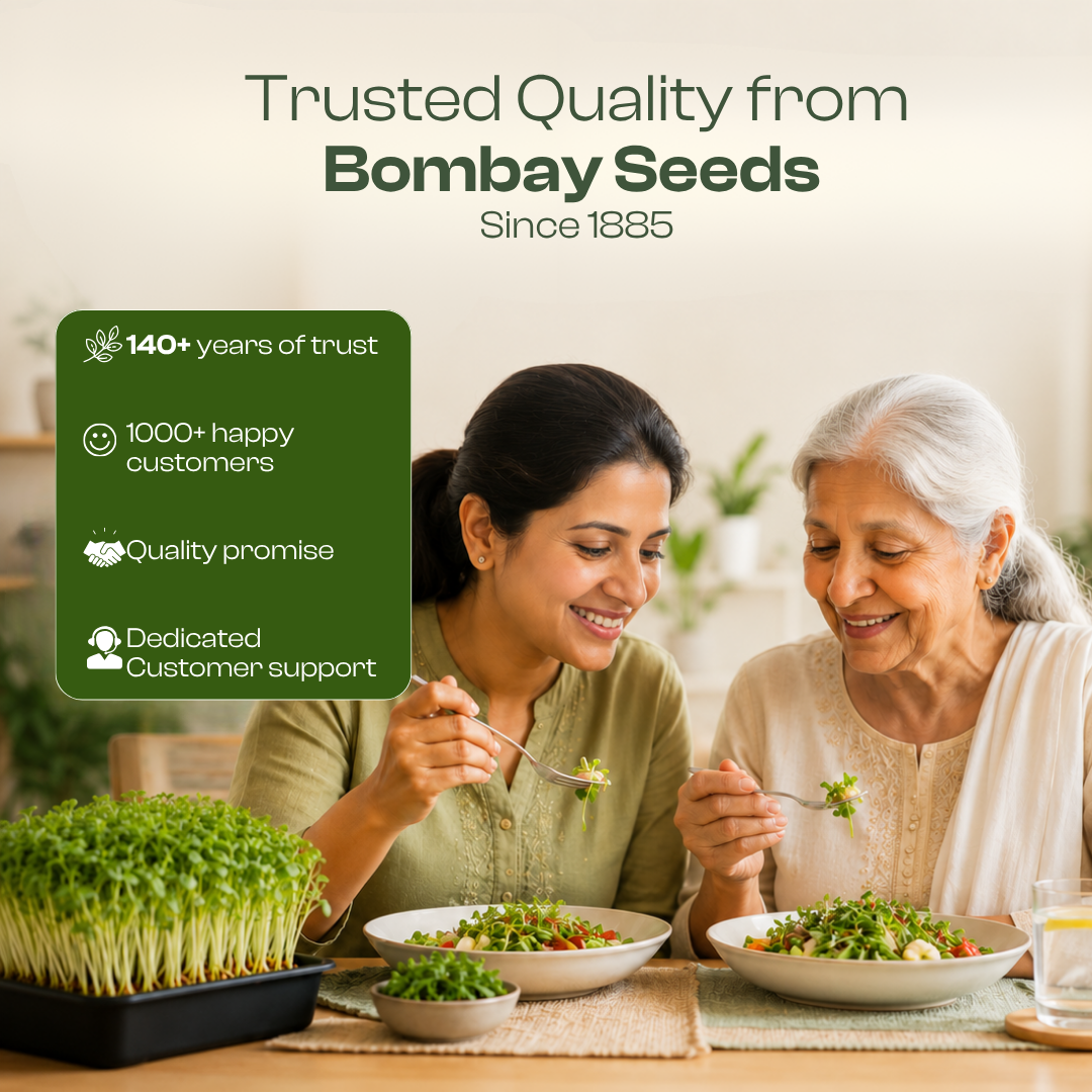 Broccoli Microgreen Seeds (50g)
