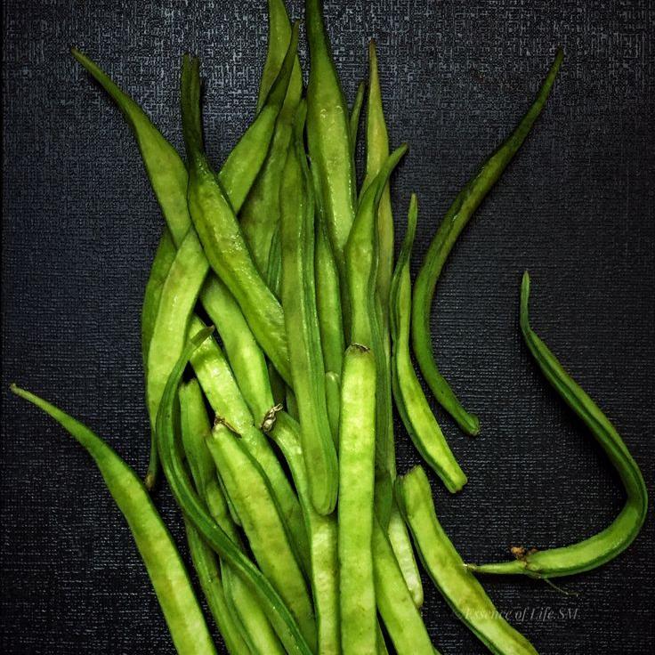 Cluster Bean Seeds -Bombay Seeds