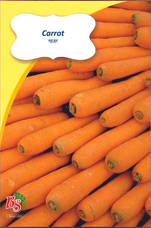 Carrot Seeds
