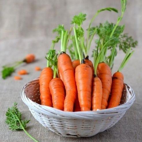 Carrot Seeds