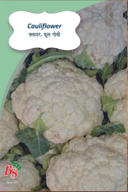 Cauliflower Seeds