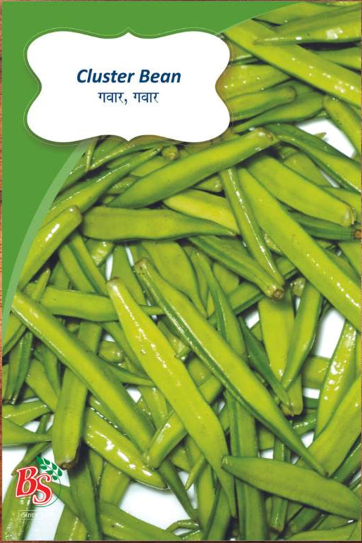 Cluster Bean Seeds -Bombay Seeds