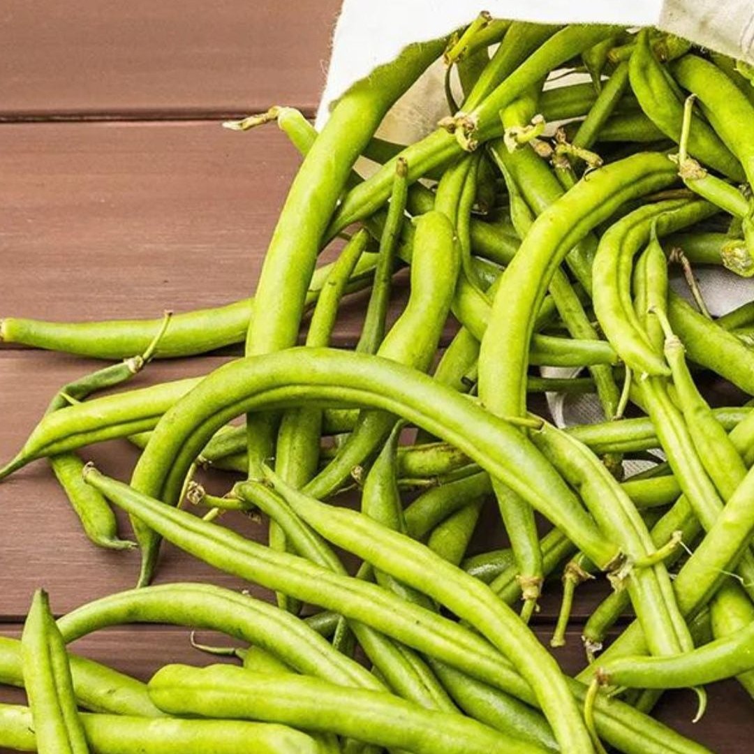 Cowpea bean seeds