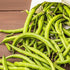 Cowpea bean seeds