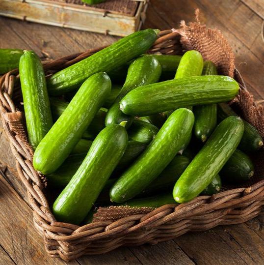 Cucumber Seeds