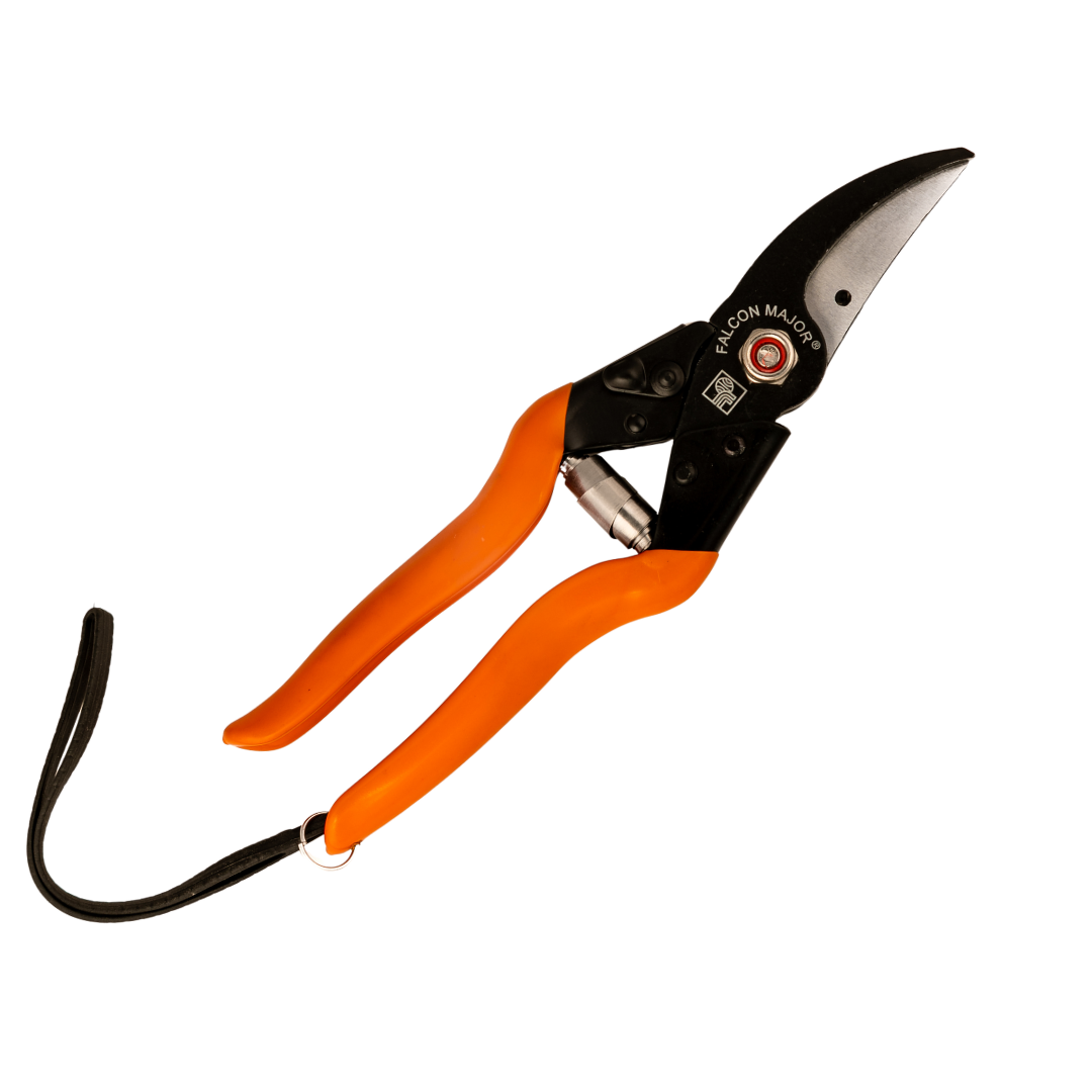 falcon garden scissors Buy Falcon Major Secateur Online – Bombay Seeds