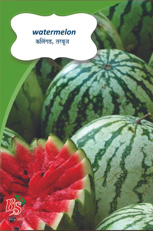 Green Watermelon seeds