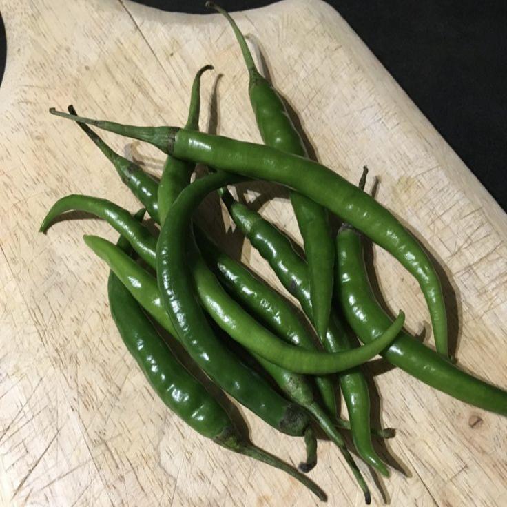 Green Chilli seeds