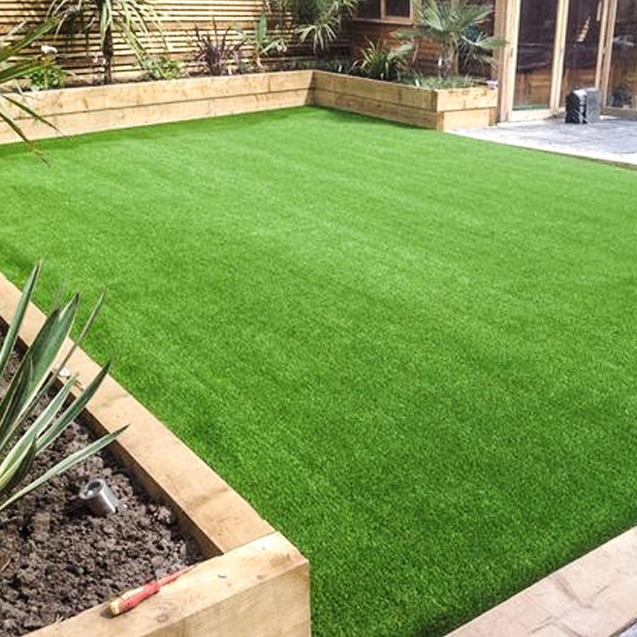 Lawn Grass