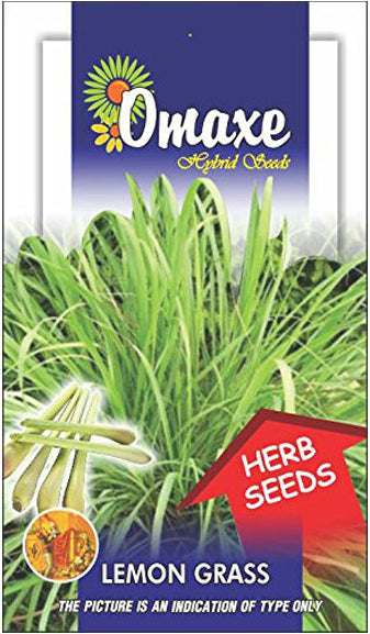 Lemon Grass Seeds