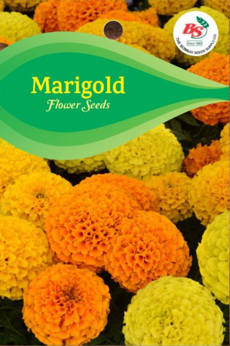 Marigold Seeds -Bombay Seeds