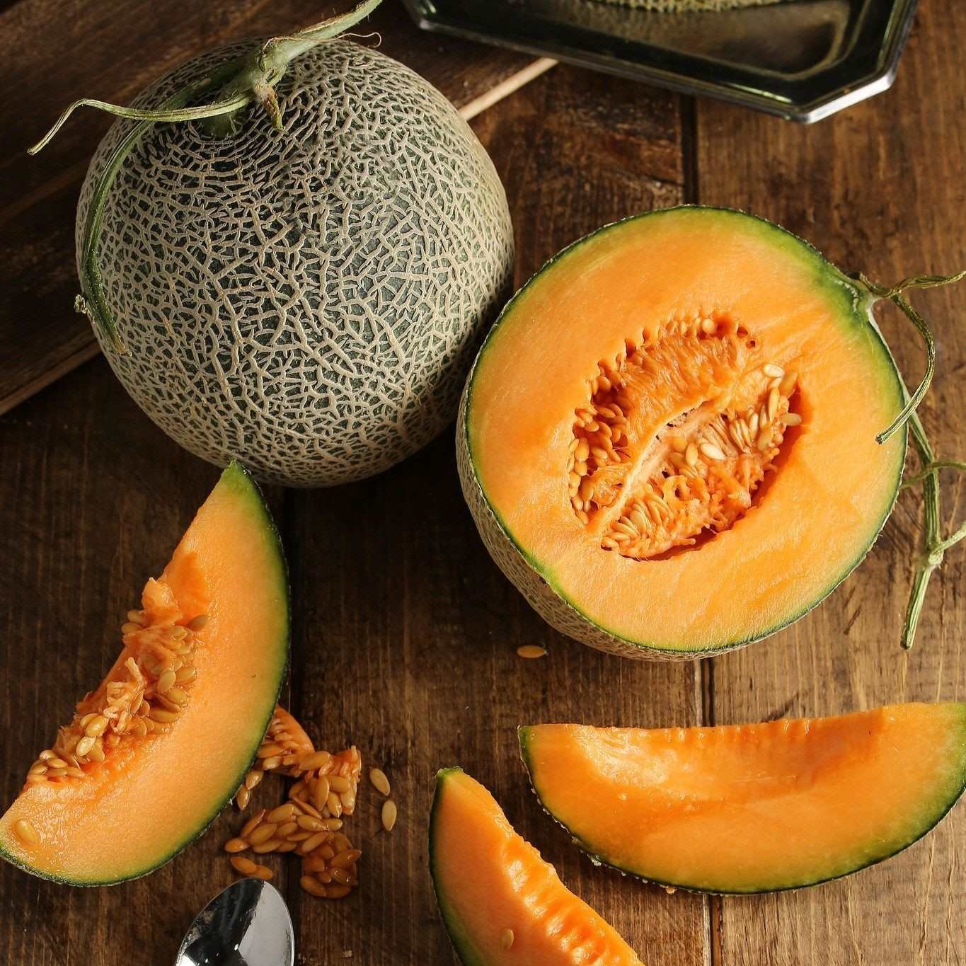 muskmelon seeds for planting Buy Musk Melon Seeds Online – Bombay Seeds