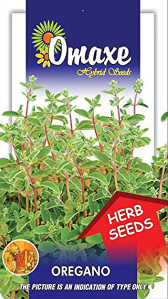 Oregano Seeds