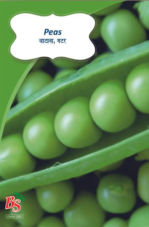 Peas Seeds