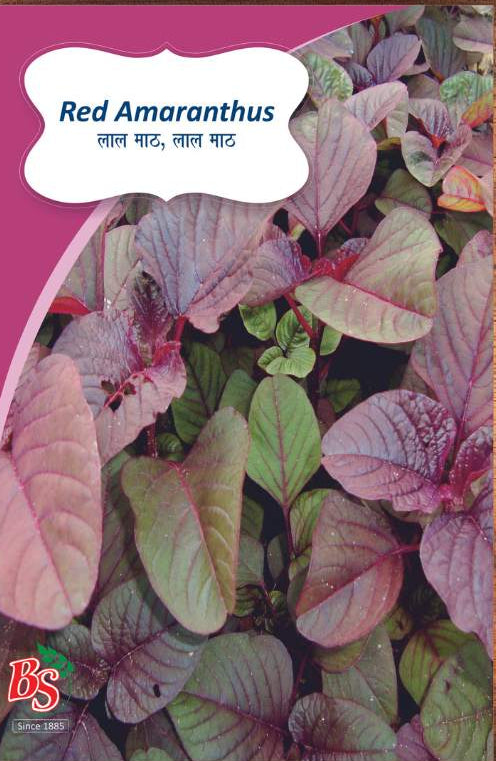 Red Amaranth Seeds -Bombay Seeds
