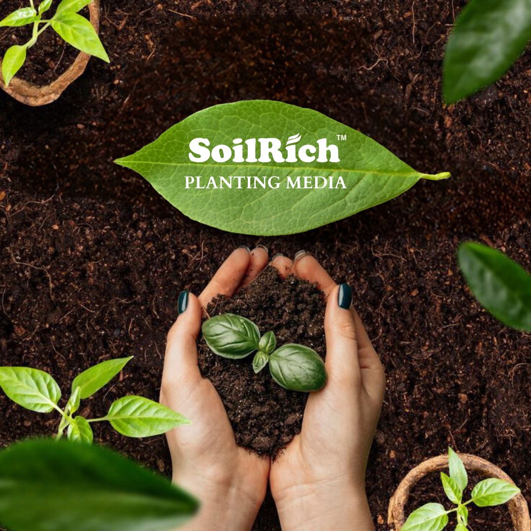 SoilRich Planting Media, Bombay Seeds