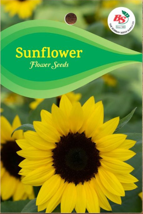 Sunflower Seeds