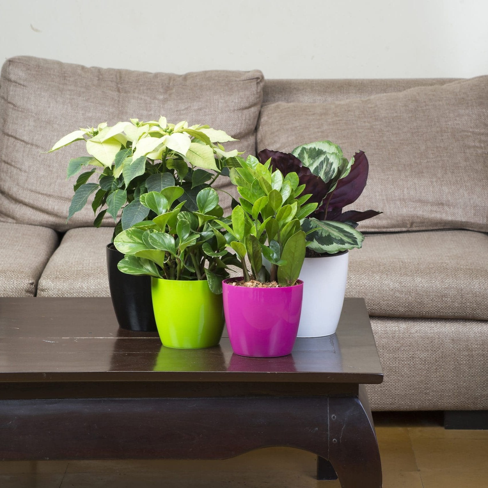 Valencia Planters