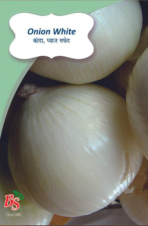 White Onions Seeds