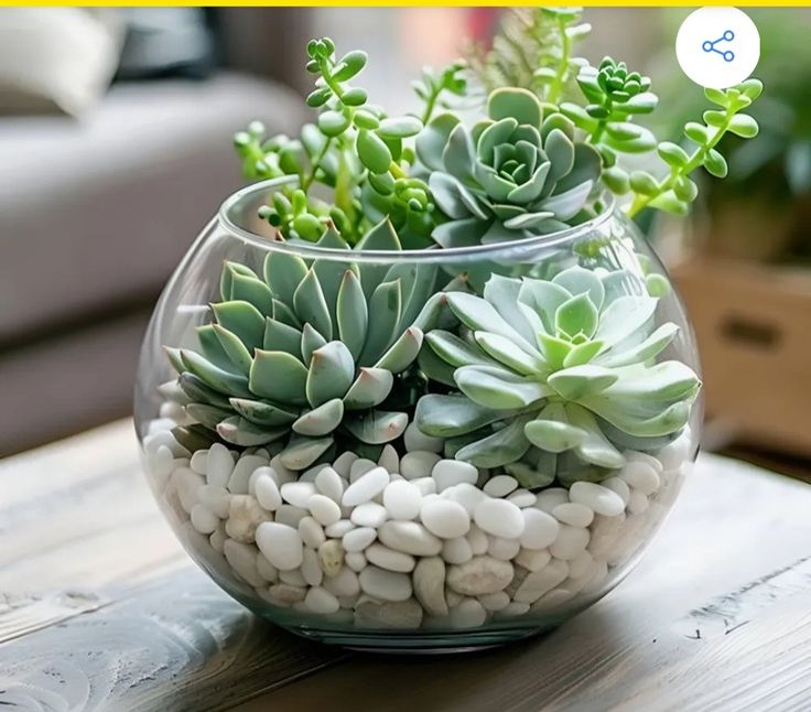 Natural White Stones (Small) (500g)