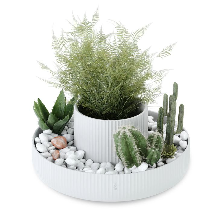 White small stones