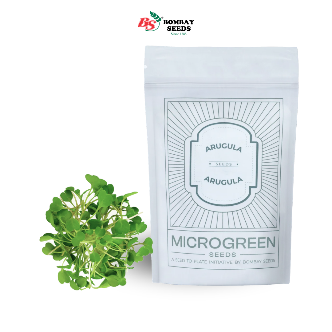 Arugula Microgreen Seeds (50g)