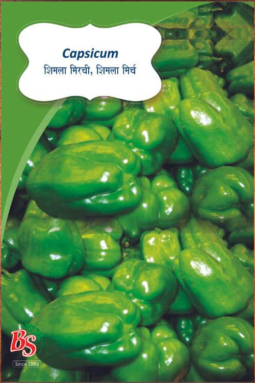 Capsicum Seeds -Bombay Seeds