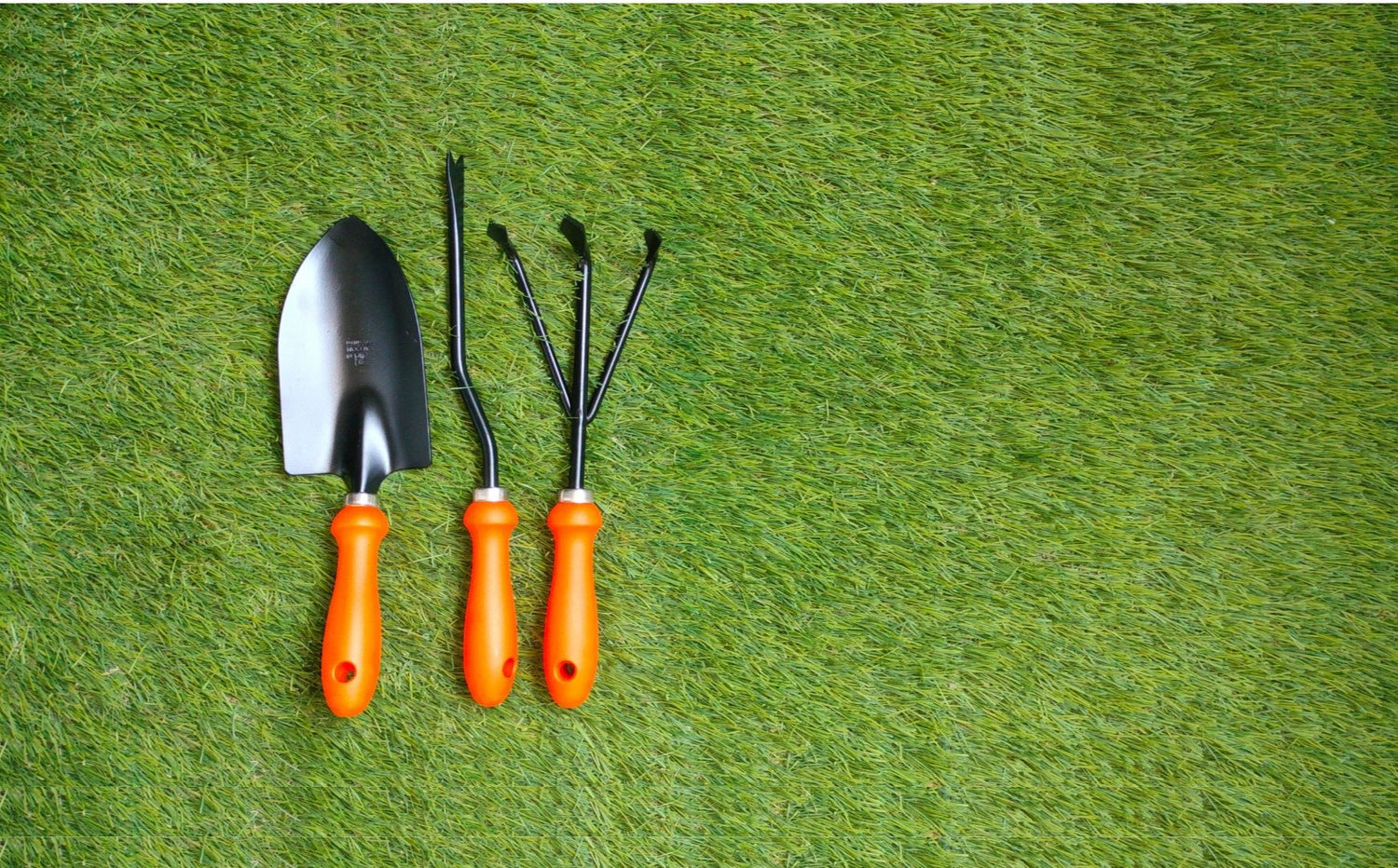 garden tools.
