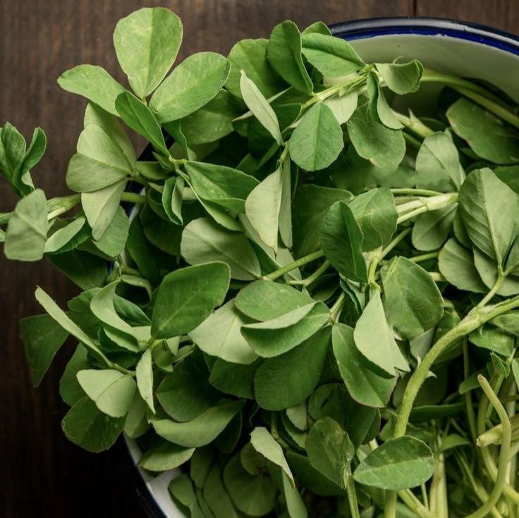 Fenugreek seeds -Bombay Seeds