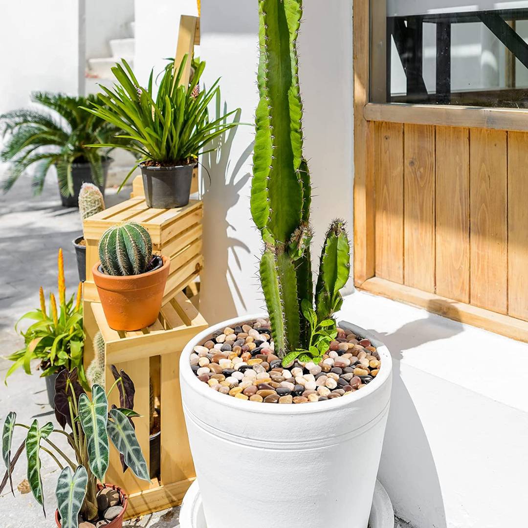 natural Stones_small