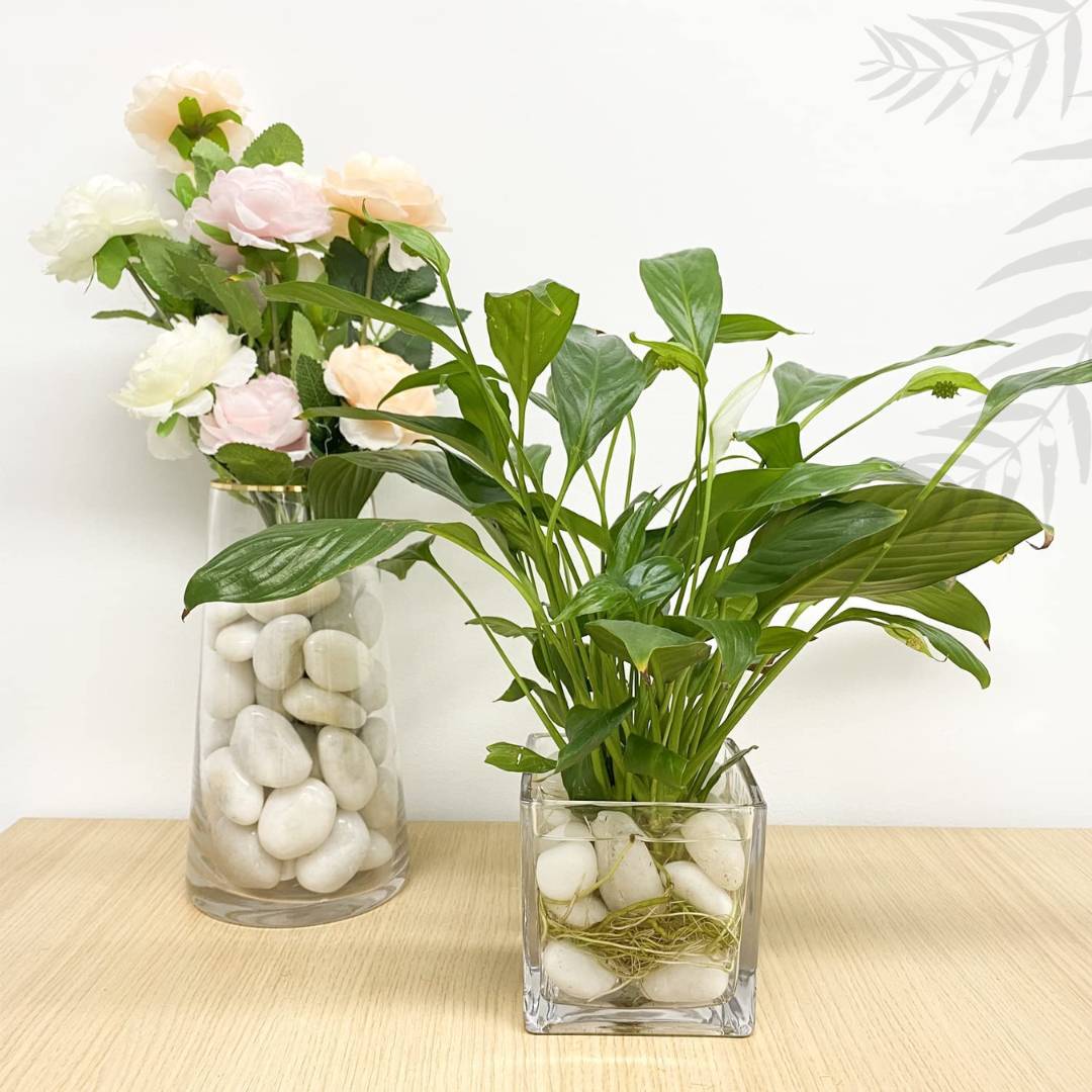 natural White Stones Big