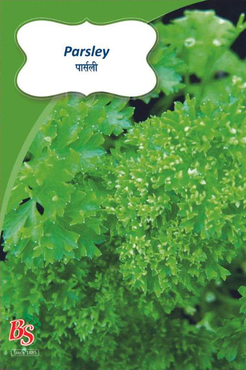 parsley seeds - Bombay Seeds