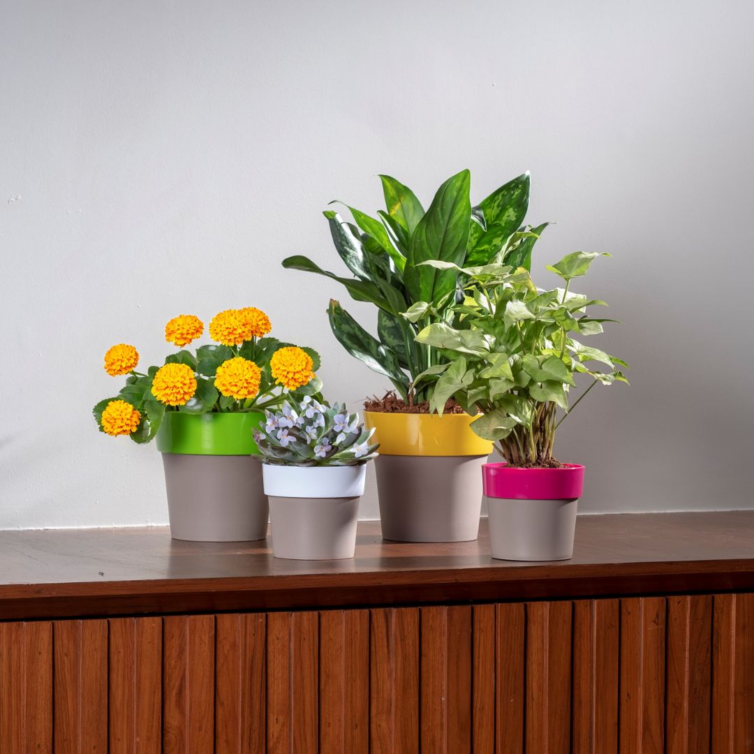 pots on table