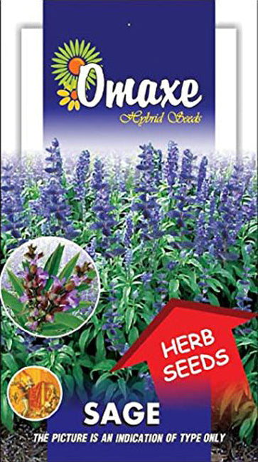 Sage Seeds