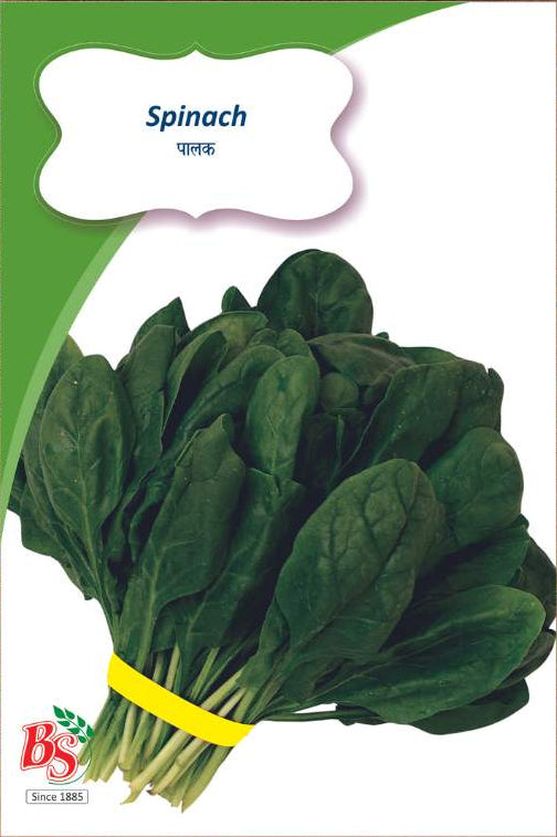 Spinach Seeds (Palak)