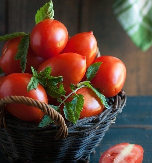 tomato seeds