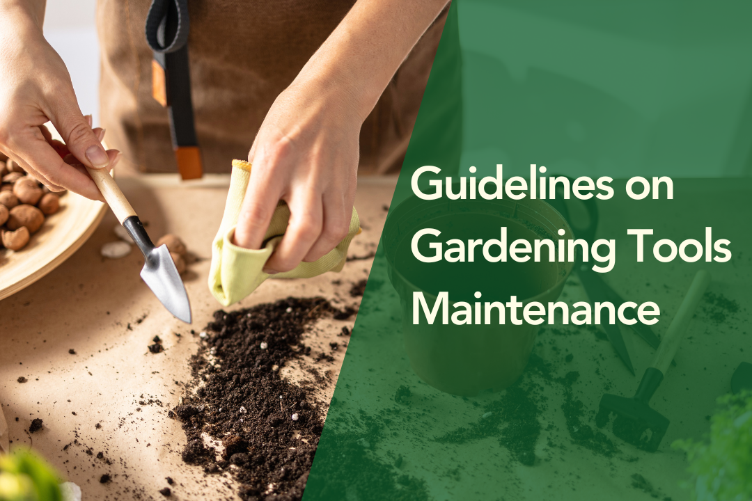 Guidelines on Gardening Tools Maintenance