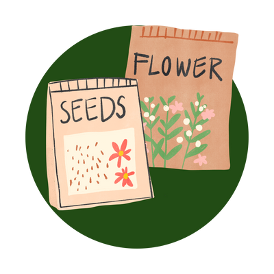 Kitchen Garden Seeds