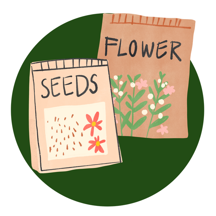 Kitchen Garden Seeds